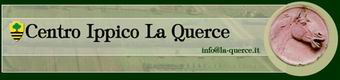Vai al sito internet