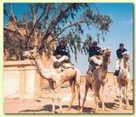 Camel Police - Truppe cammellate